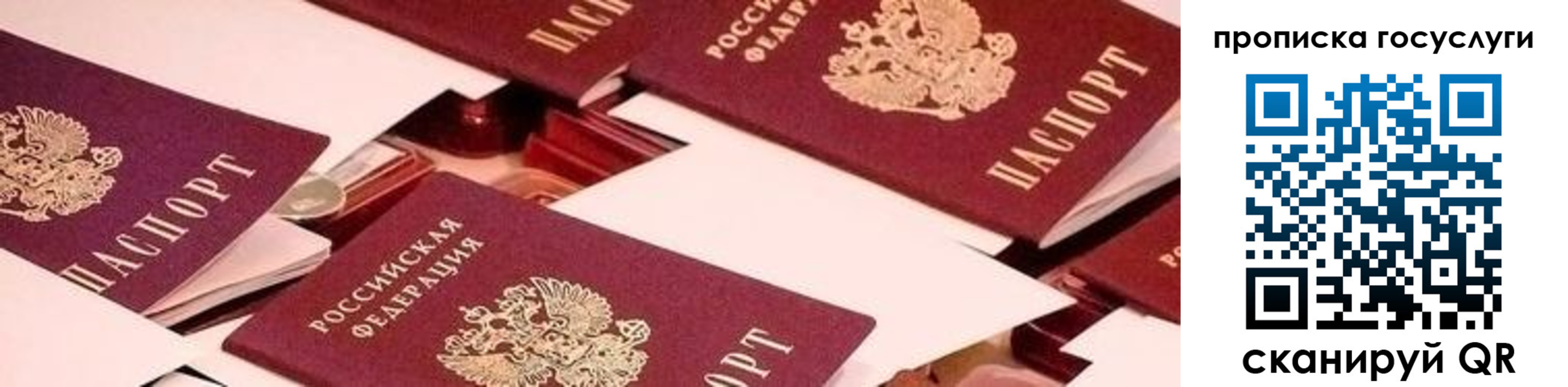 регистрация в Миассе
